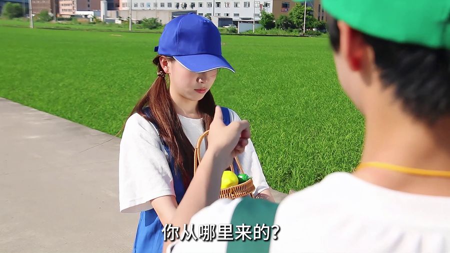 大广赛视频